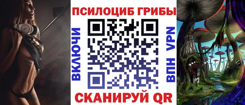 блэк спрут маркетплейс  Кстово  Галлюциногенные грибы Cubensis 